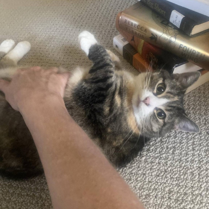 The Happy Cat Lady