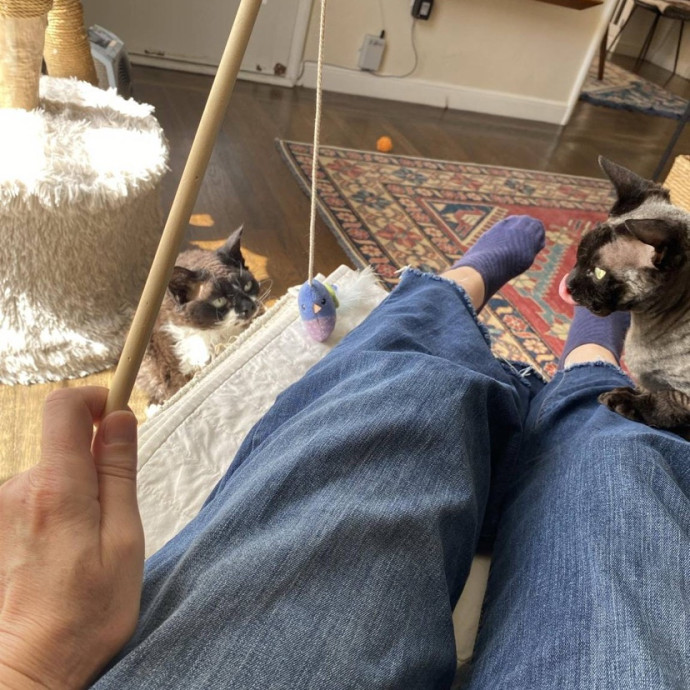 The Happy Cat Lady