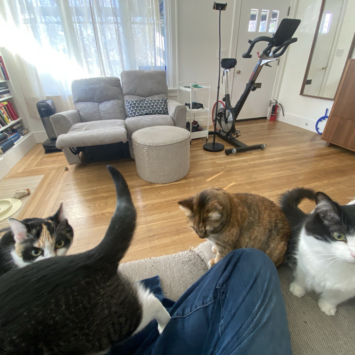 The Happy Cat Lady