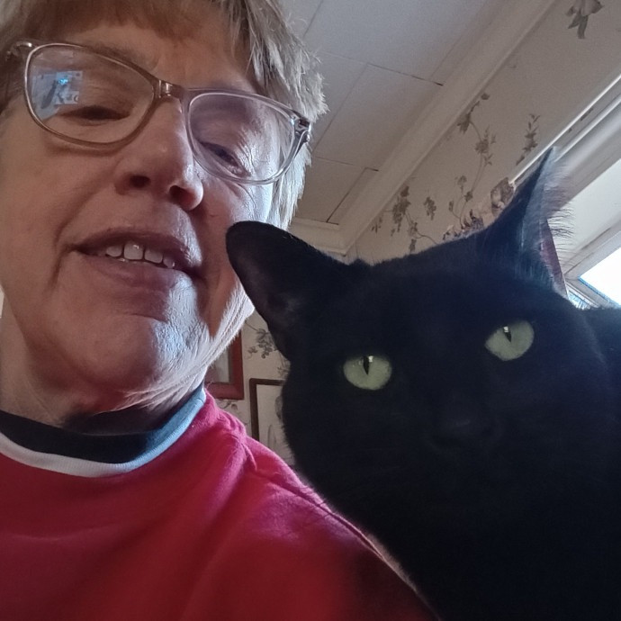 Cat Mom Cindy's Cat Sitting