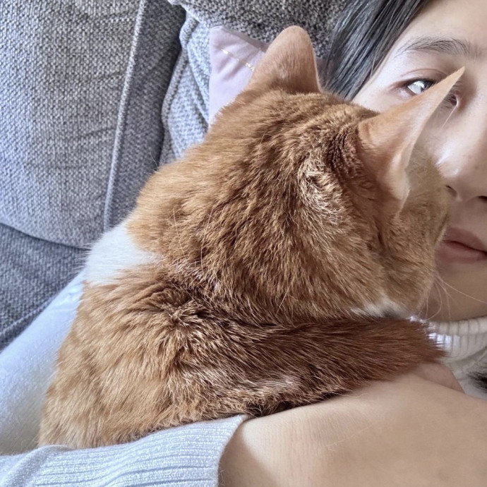 Full-Time Catsitter - 4 Yrs Experience