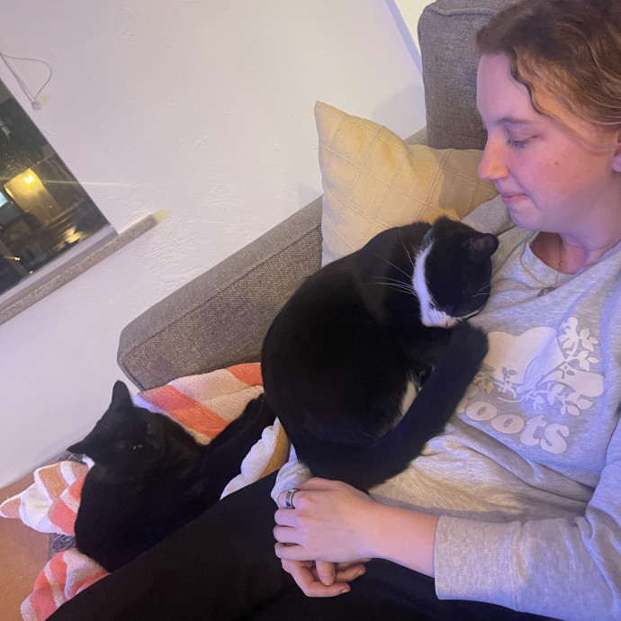 Cat Mom For Hire photo 2