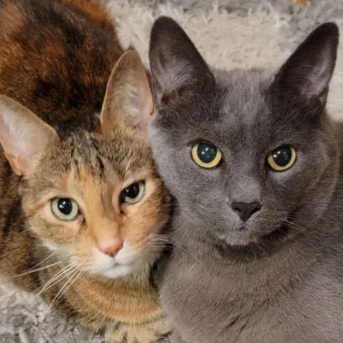 Cuddles And Fun photo 3