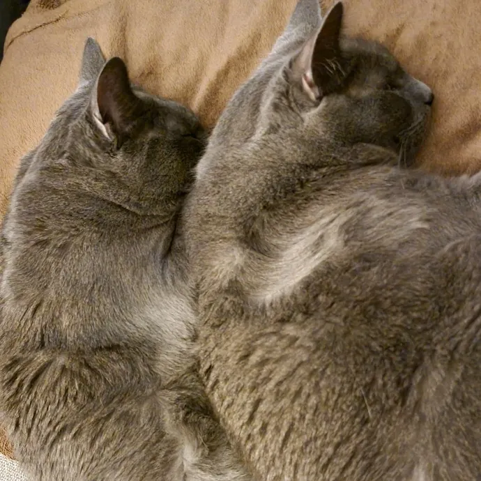 Cuddles And Fun photo 2