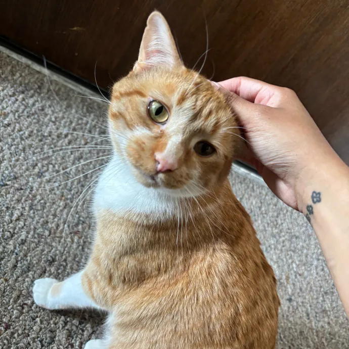 Care Like You're Still At Home