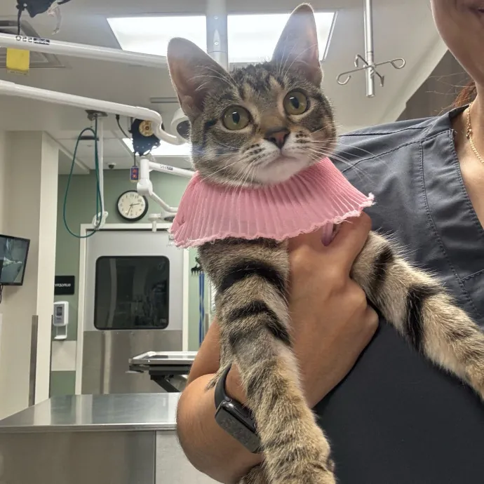 Care Like You're Still At Home