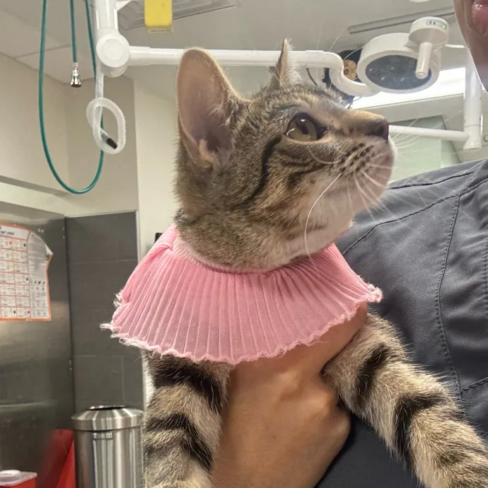 Care Like You're Still At Home