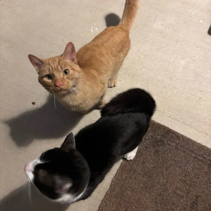 Care Like You're Still At Home