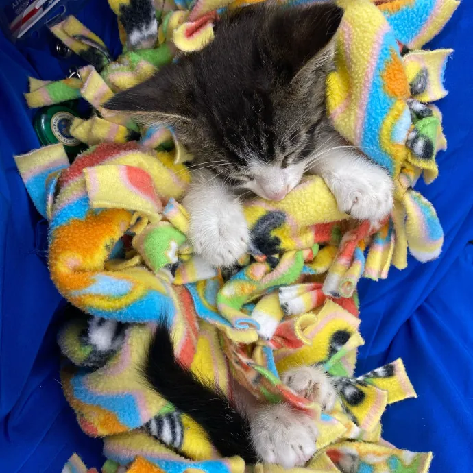 Care Like You're Still At Home