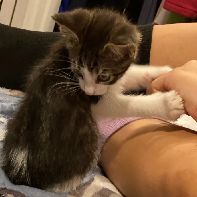 Care Like You're Still At Home