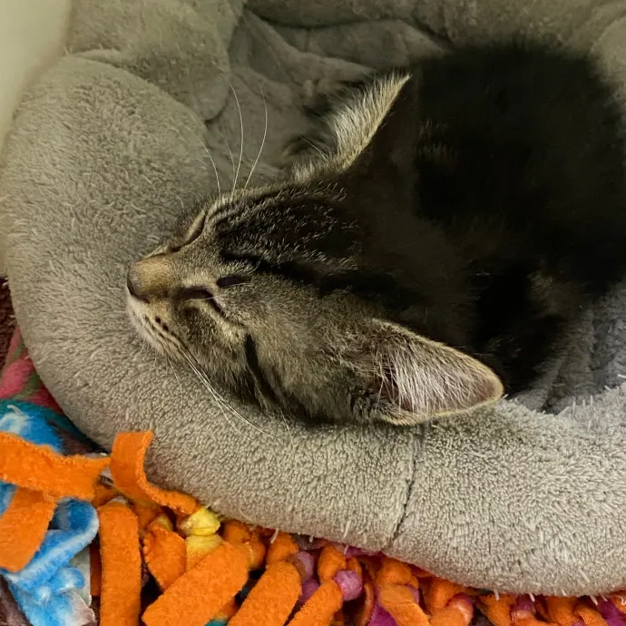 Care Like You're Still At Home