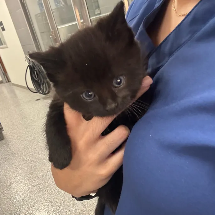 Care Like You're Still At Home