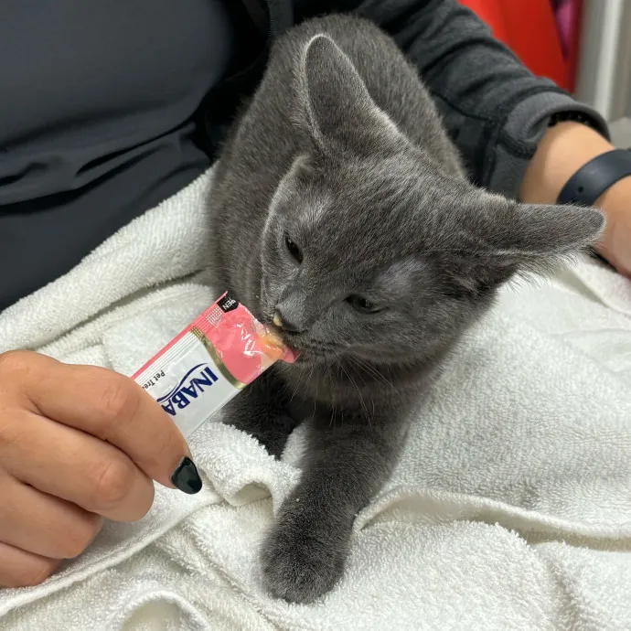 Care Like You're Still At Home