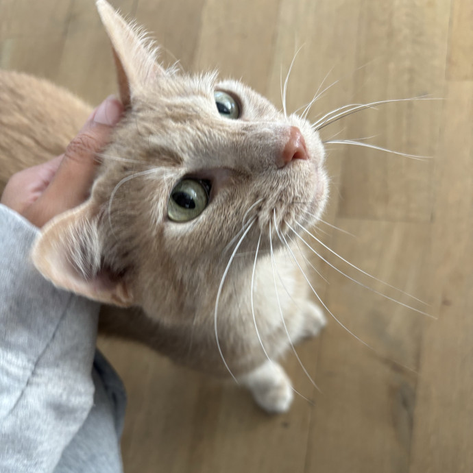 Care Like You're Still At Home