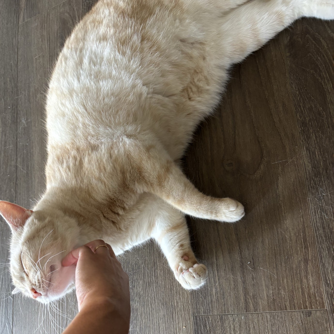Care Like You're Still At Home