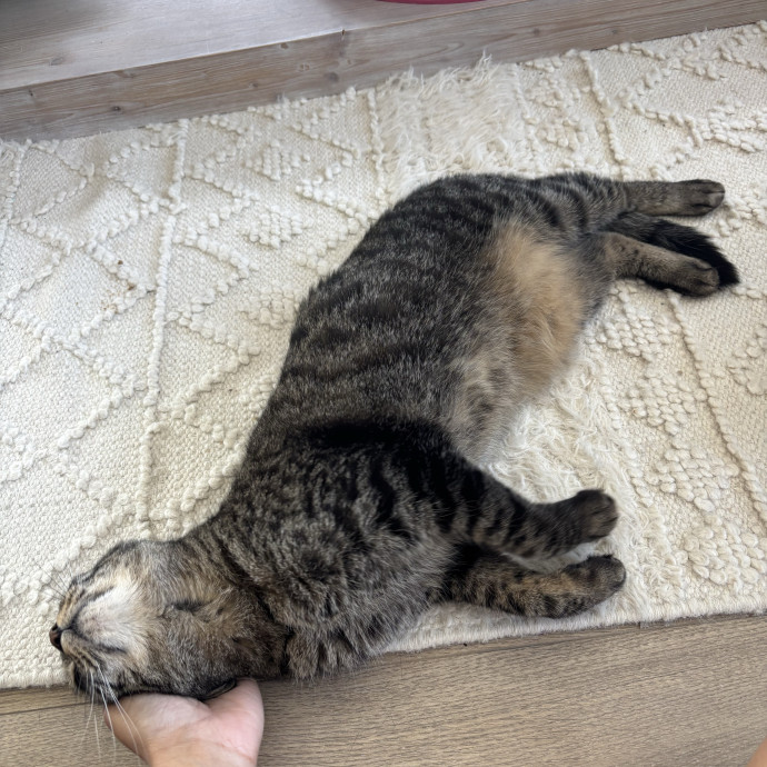 Care Like You're Still At Home