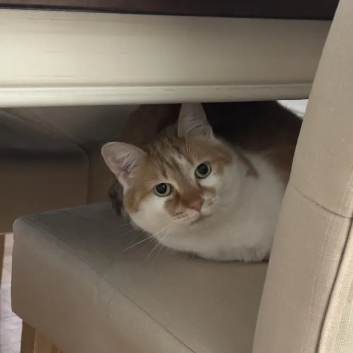 My'anna R.