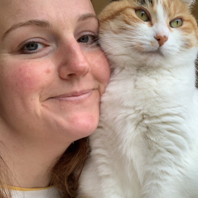 Celtic Cat Sitter photo 2