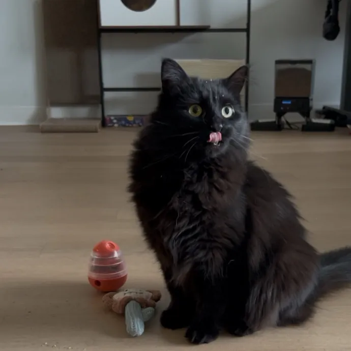 Cozy Care For Cool Cats