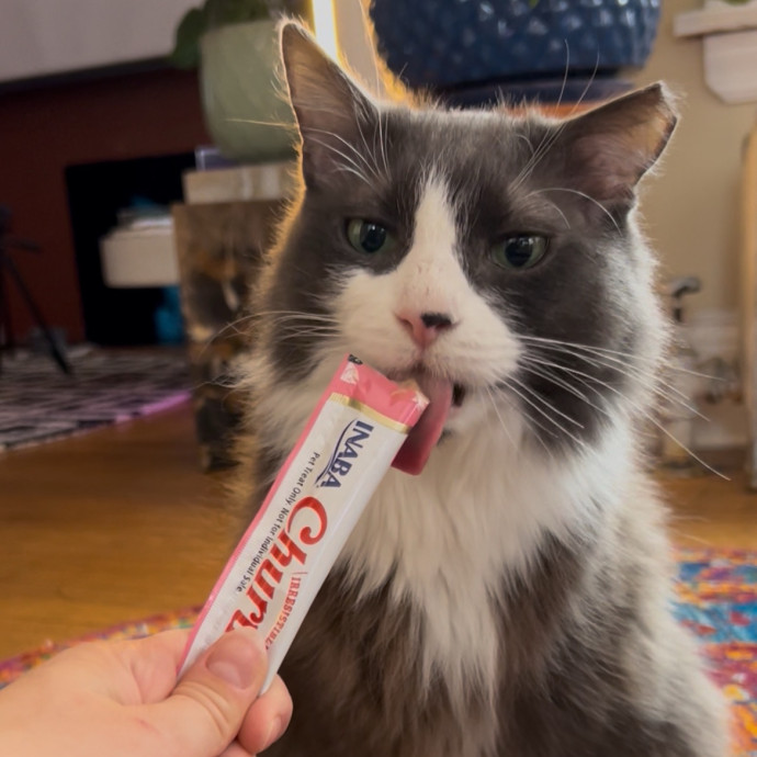 Cozy Care For Cool Cats
