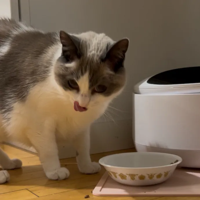 Cozy Care For Cool Cats