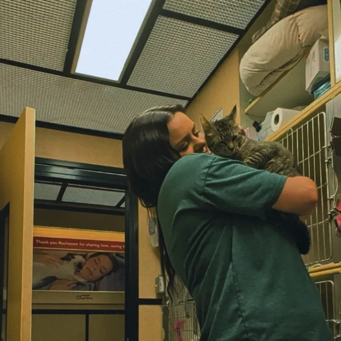 Your Cat's New Favorite Visitor