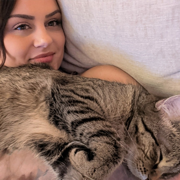 Your Cat's New Favorite Visitor