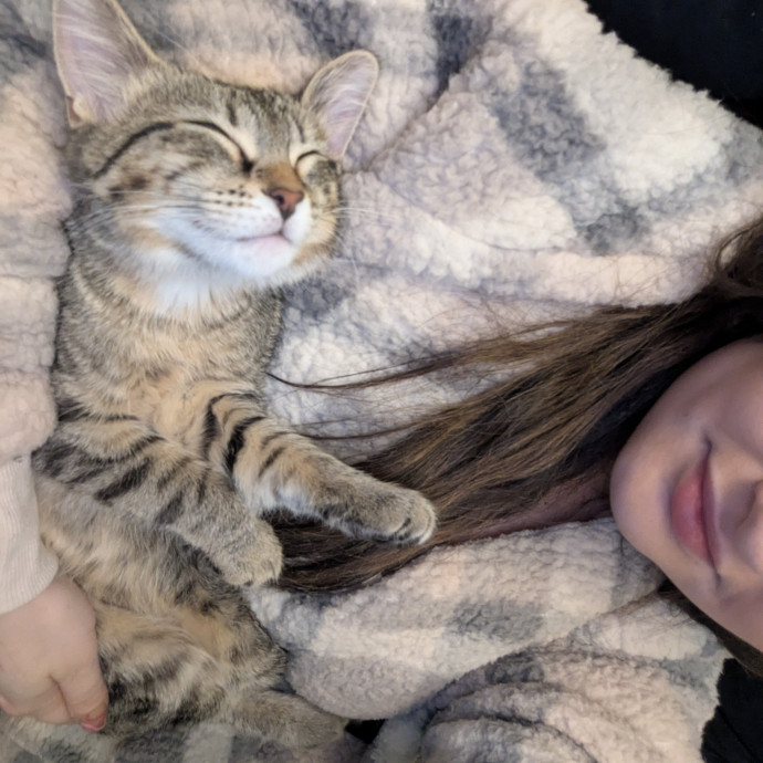 Your Cat's New Favorite Visitor photo 3