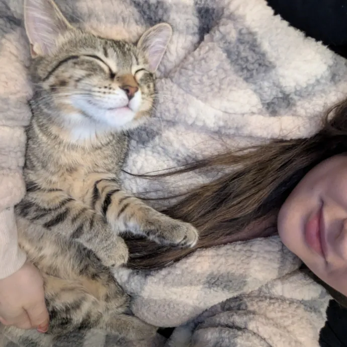 Your Cat's New Favorite Visitor photo 3