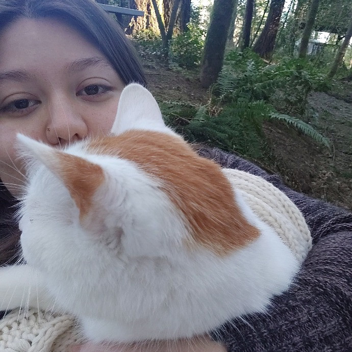 Look Here Meow Avid Cat Lover