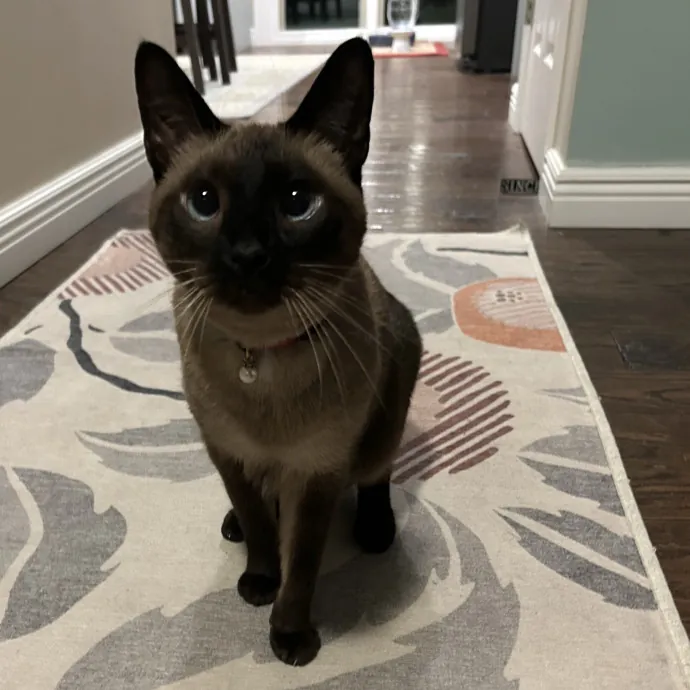 Sydney K.