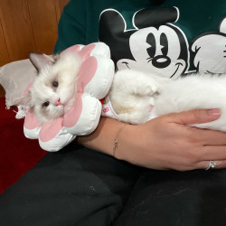 Photo #5