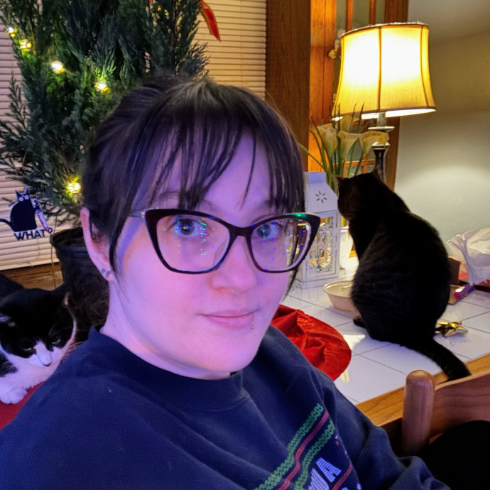 Robin's Expert Cat Sitting For Mew photo 3