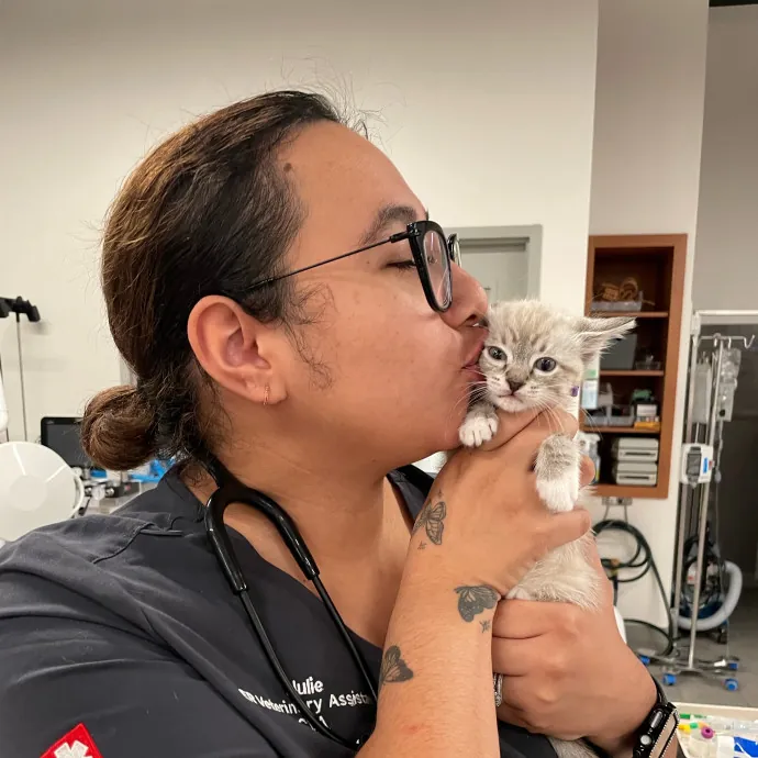 For The Love Of Cats