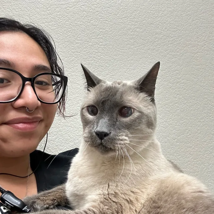 For The Love Of Cats photo 3