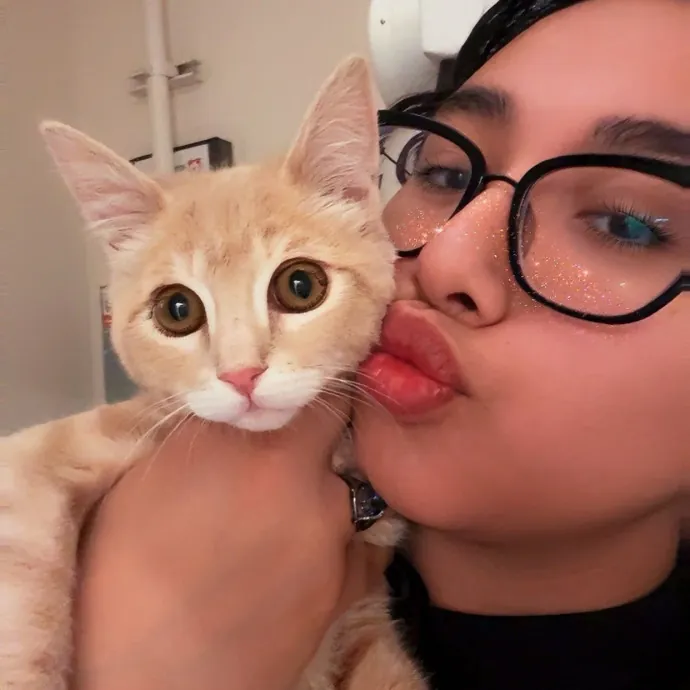 For The Love Of Cats photo 2