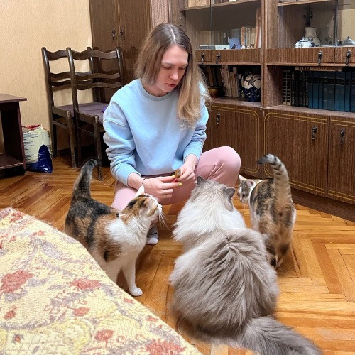 San Diego Purrrfect Care