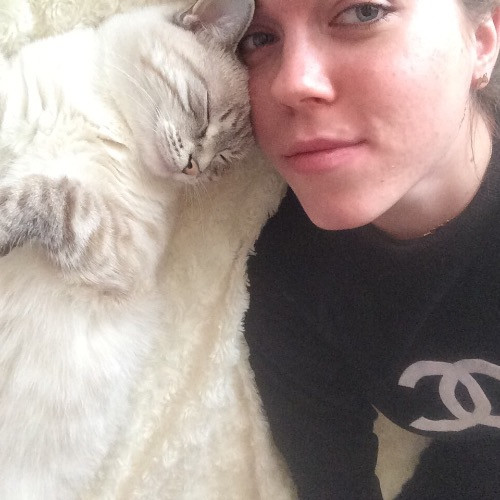 San Diego Purrrfect Care