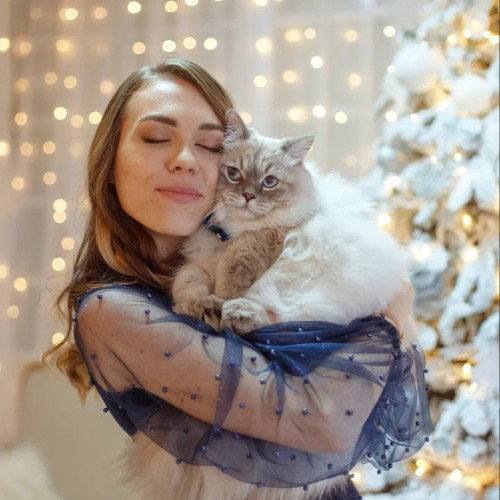 San Diego Purrrfect Care photo 2