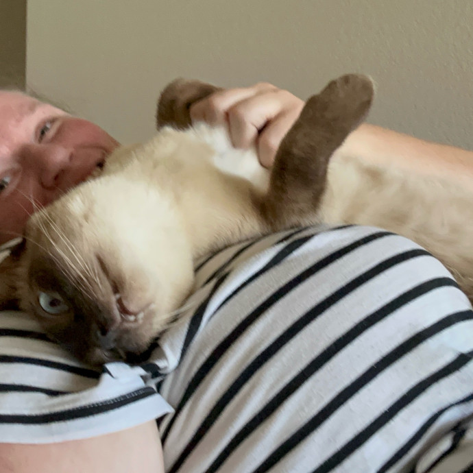 Kitty Cuddles Galore photo 3