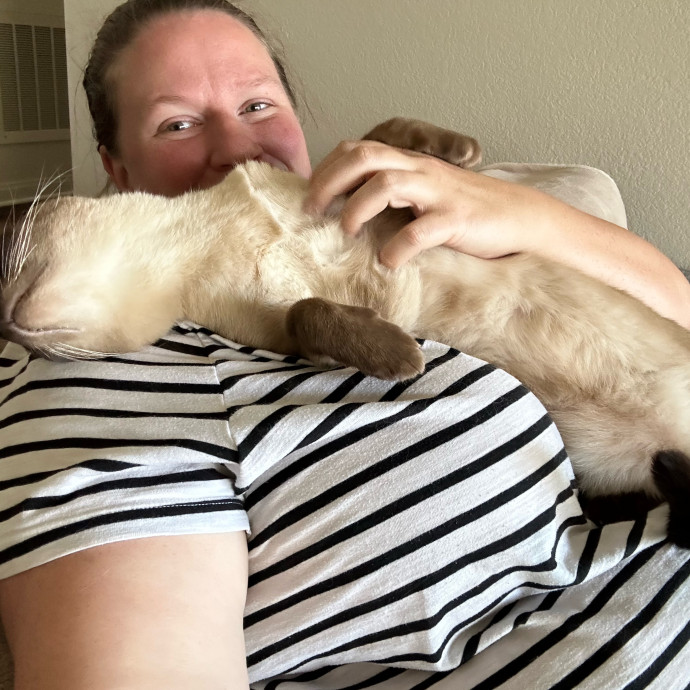 Kitty Cuddles Galore photo 2