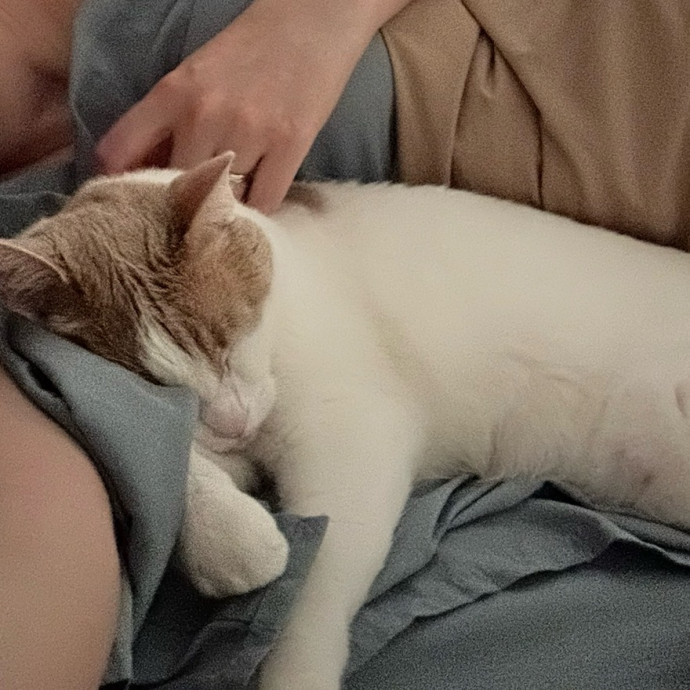 Bekah The Cat-Whisperer