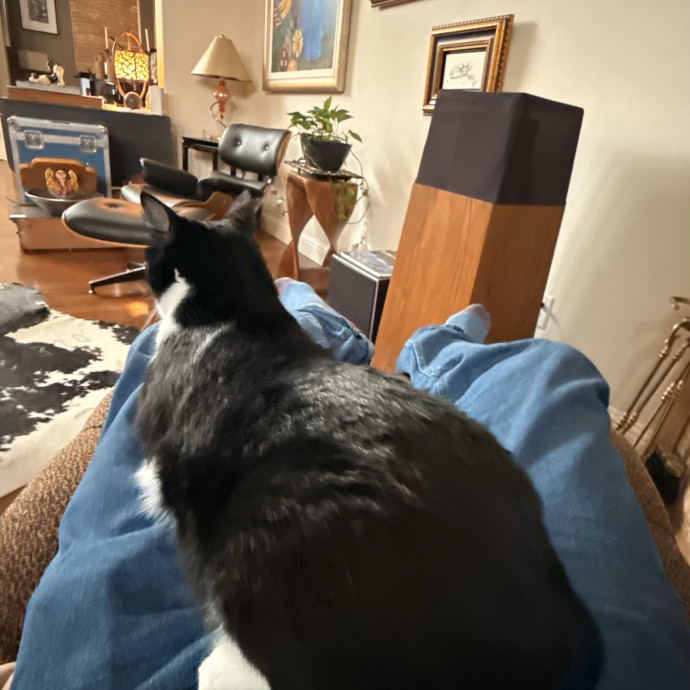 Kitty Friend Care