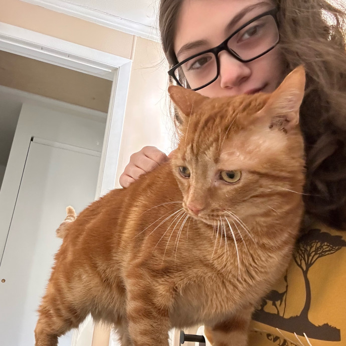 A Confident Cat Caretaker