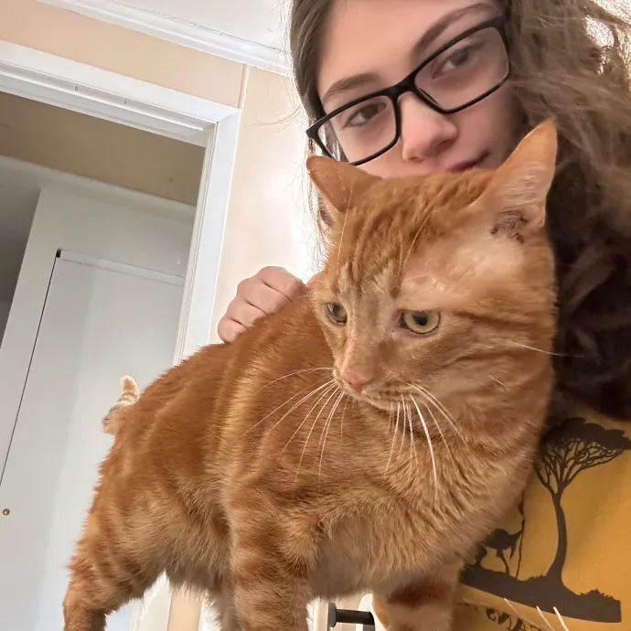 A Confident Cat Caretaker