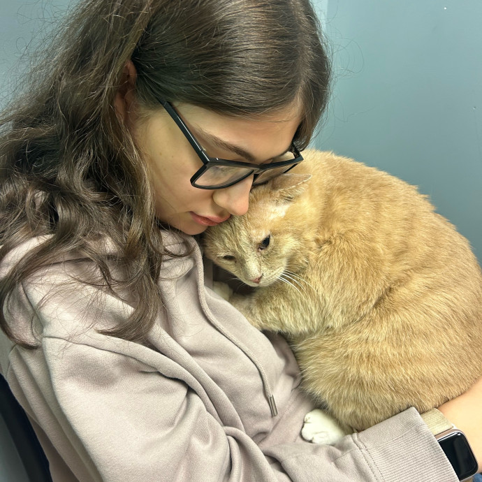 A Confident Cat Caretaker