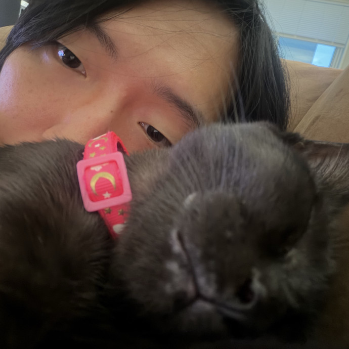 Loving  Reliable Cat Sitter photo 2