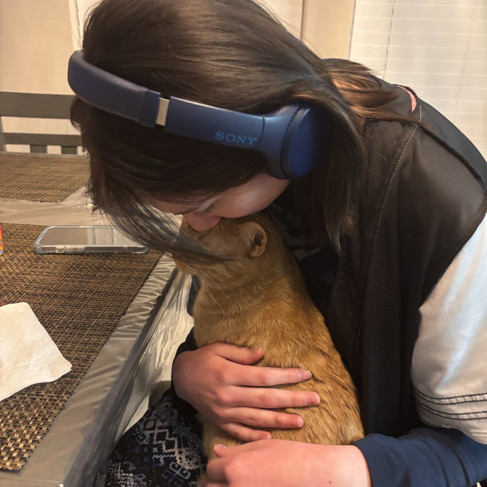 Loving Gentle  Dedicated Cat Sitter photo 3
