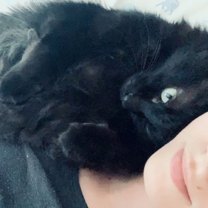 Med-Certified  Shy Cat Care By Amber