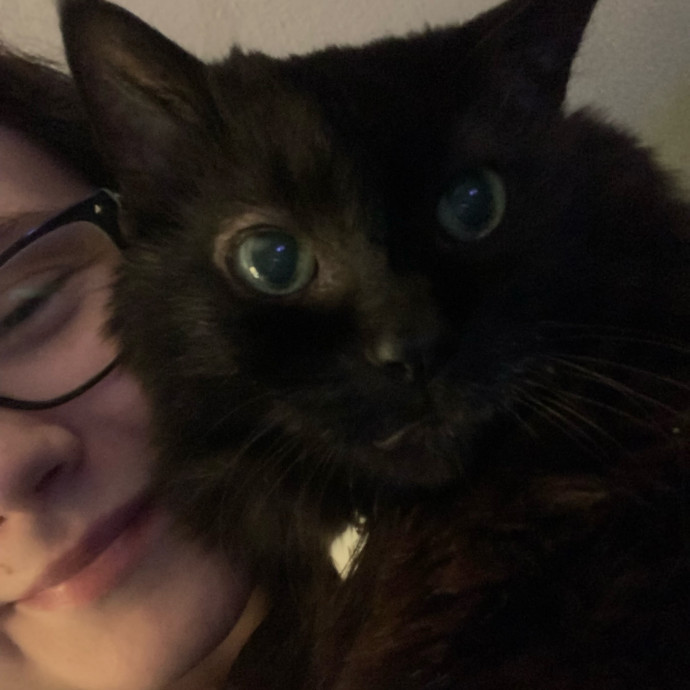 Med-Certified  Shy Cat Care By Amber